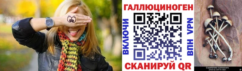 Псилоцибиновые грибы Psilocybine cubensis  Купить закладки  Каменск-Шахтинский 